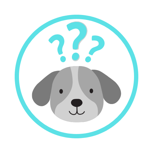 icono terapia para perros rehabilitacion kine veterinaria